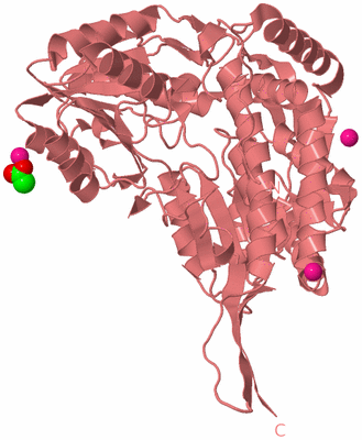 Image Biological Unit 8