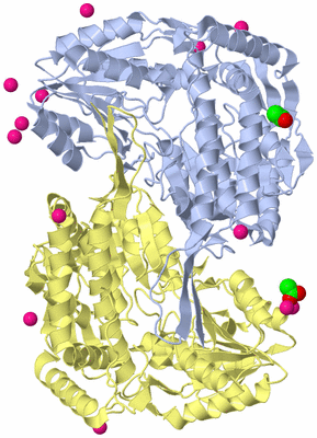 Image Biological Unit 9