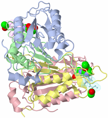 Image Asym./Biol. Unit