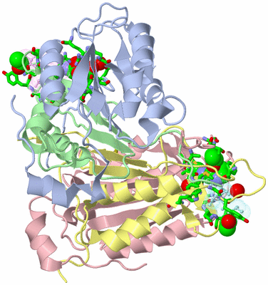 Image Asym./Biol. Unit - sites