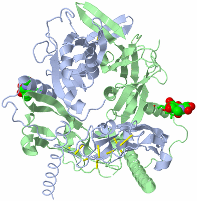 Image Biol. Unit 1 - sites