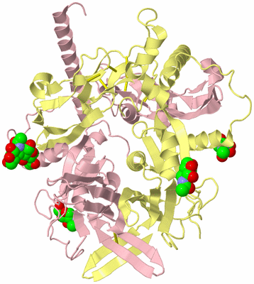 Image Biological Unit 2