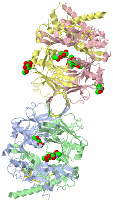 Image Asym. Unit - sites