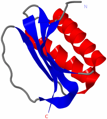 Image Asymmetric Unit