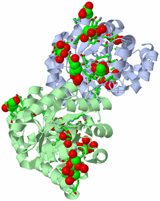 Image Asym./Biol. Unit - sites