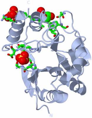 Image Biol. Unit 1 - sites