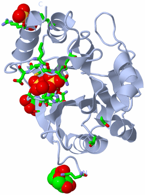 Image Biol. Unit 1 - sites