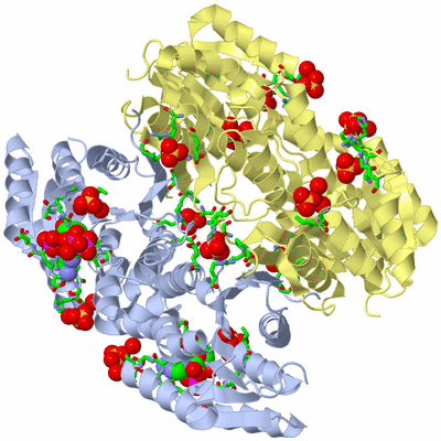 Image Biol. Unit 1 - sites