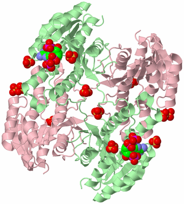 Image Biological Unit 2