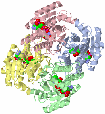 Image Asym./Biol. Unit