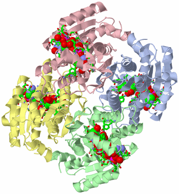 Image Asym./Biol. Unit - sites