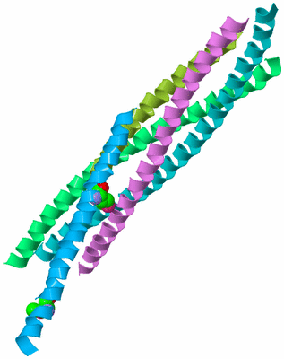 Image Biological Unit 4