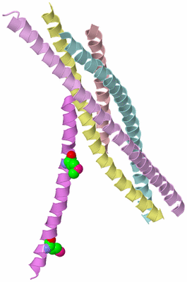 Image Biological Unit 8