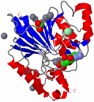 Image Asym./Biol. Unit