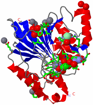 Image Asym./Biol. Unit - sites