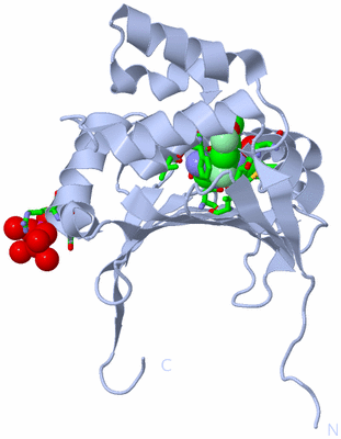 Image Biol. Unit 1 - sites