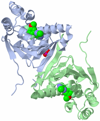 Image Biological Unit 3