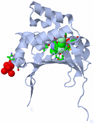 Image Biol. Unit 1 - sites