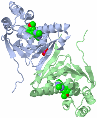 Image Biological Unit 3