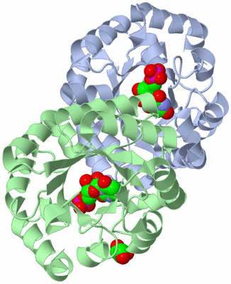 Image Asym./Biol. Unit