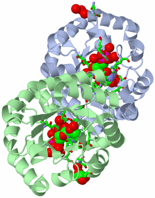 Image Asym./Biol. Unit - sites