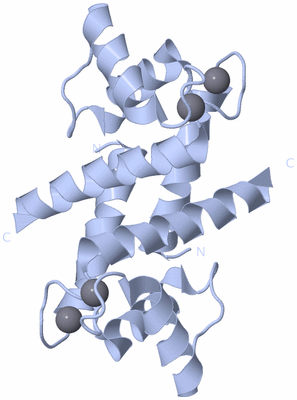 Image Biological Unit 1