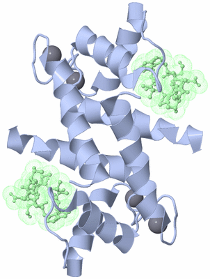 Image Biological Unit 1