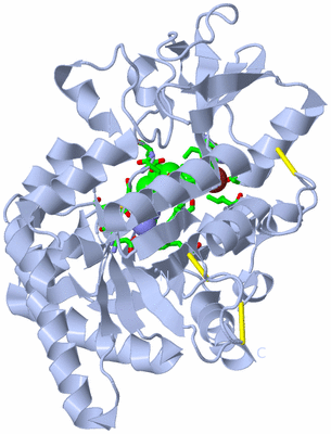 Image Biol. Unit 1 - sites