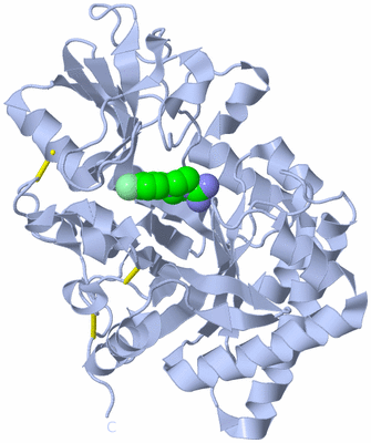 Image Biological Unit 1