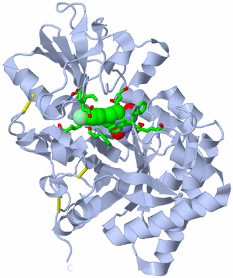 Image Biol. Unit 1 - sites