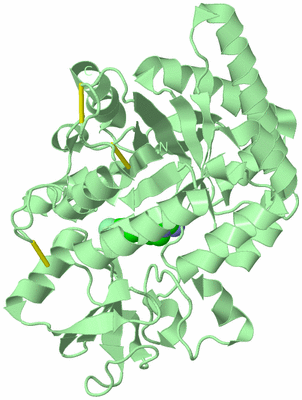 Image Biological Unit 2