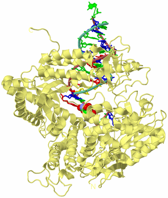 Image Biological Unit 4