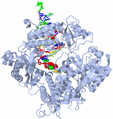 Image Biological Unit 1