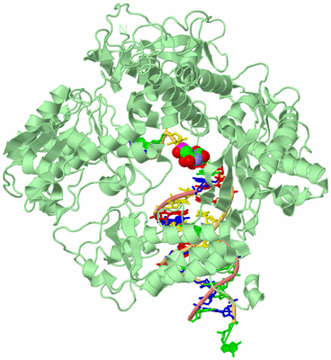 Image Biological Unit 2