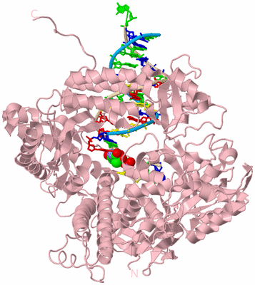 Image Biological Unit 3