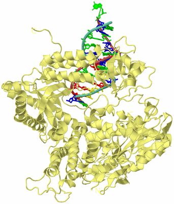 Image Biological Unit 4