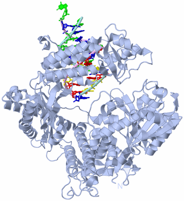 Image Biological Unit 1