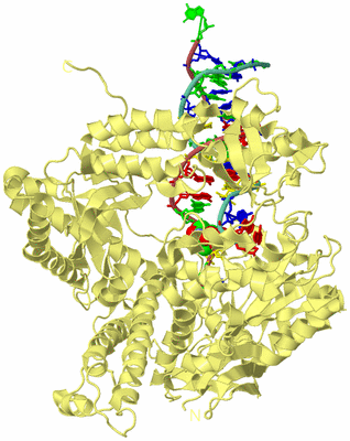 Image Biological Unit 4