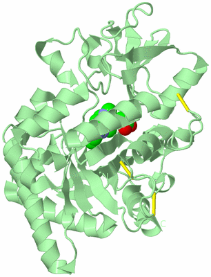 Image Biological Unit 2