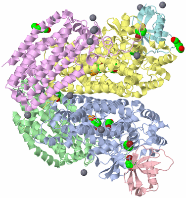 Image Biological Unit 1