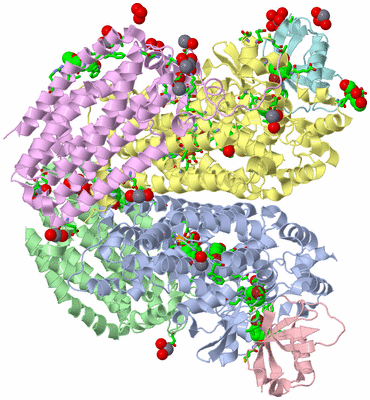 Image Biol. Unit 1 - sites