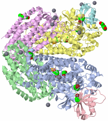 Image Biological Unit 2