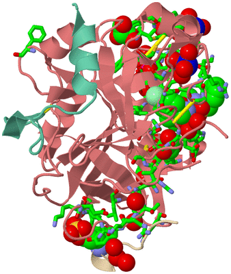 Image Asym./Biol. Unit - sites