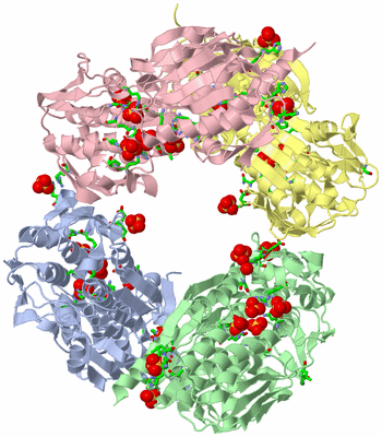 Image Biol. Unit 1 - sites