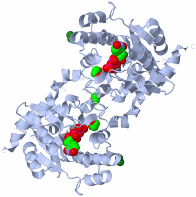 Image Biological Unit 1