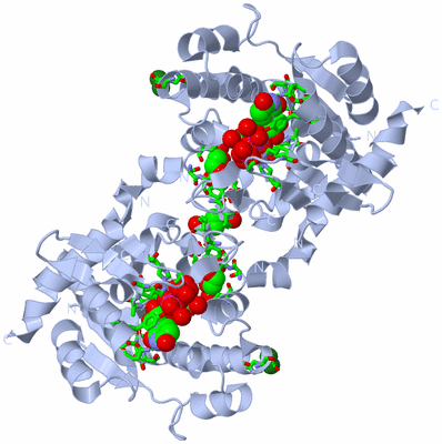 Image Biol. Unit 1 - sites