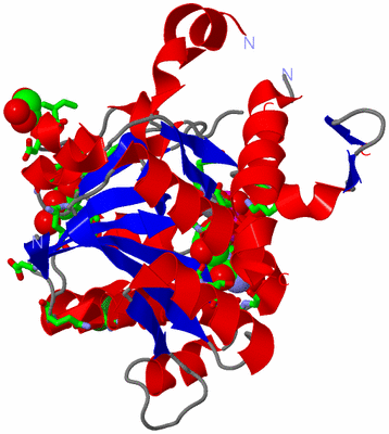 Image Asym. Unit - sites