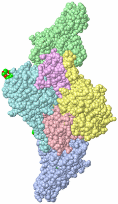 Image Asym./Biol. Unit