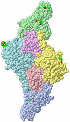 Image Asym./Biol. Unit - sites