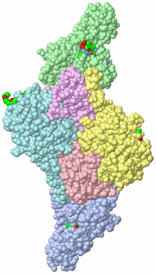 Image Asym./Biol. Unit - sites